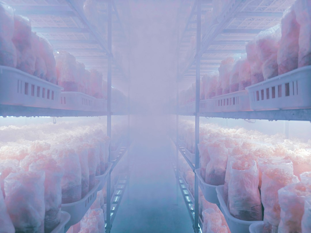 commercial bagged ice stacked in a freezer