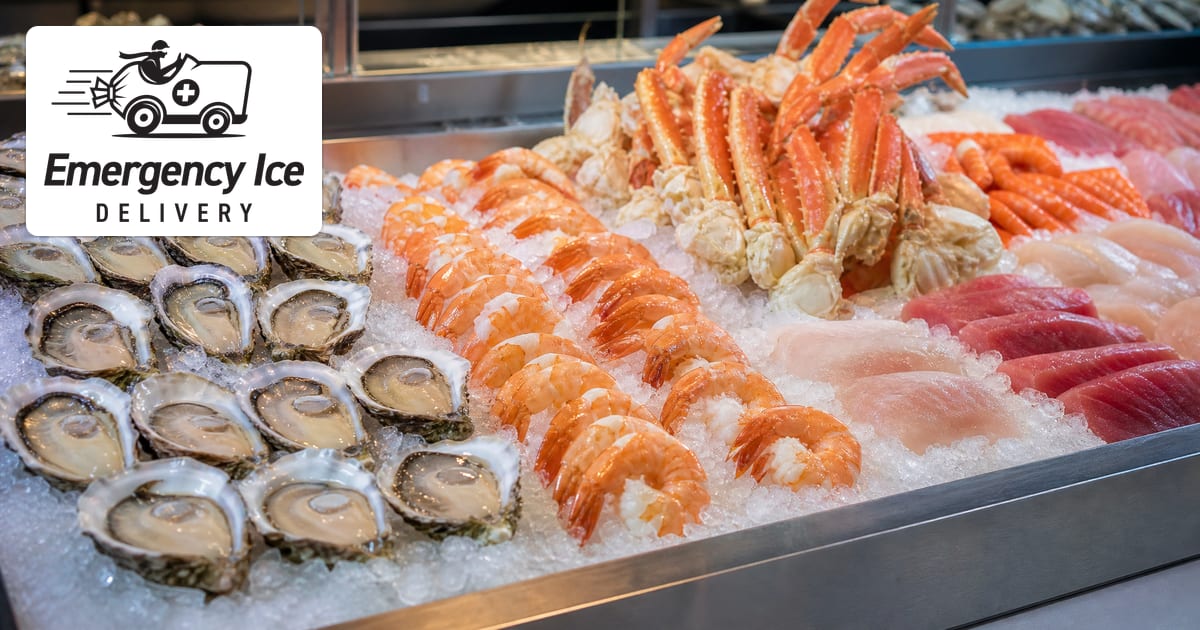 fresh seafood on crushed ice display